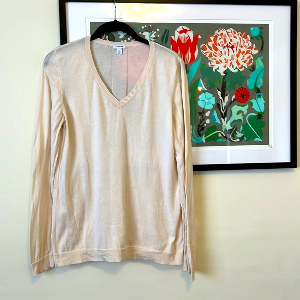 Cuyana v-neck sweater